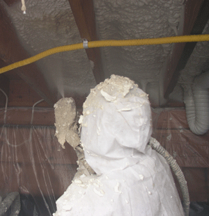  MN crawl space insulation