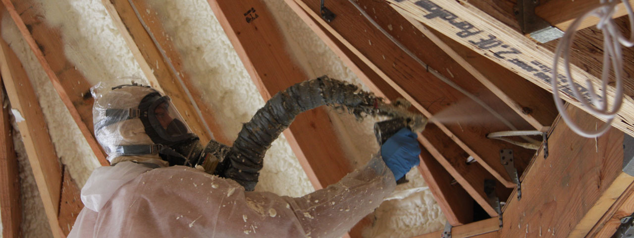 Minnesota Attic Insulation Spray Foam Minnesota Attic Insulation Spray Foam